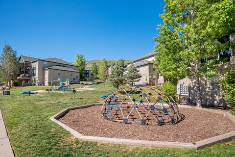 A playground with a blue swing set and a large spherical climbing structure in the middle of a mulched area.
