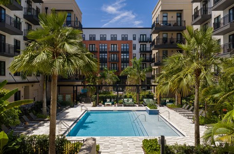 A swimming pool surrounded by palm trees and apartment buildings.