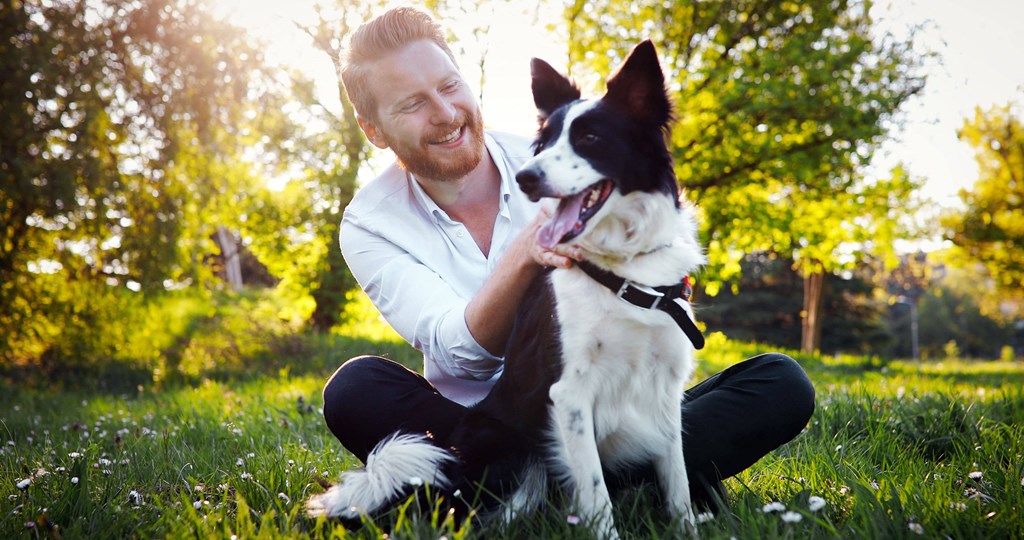 Dog Playing In A Park at Madison House, Washington