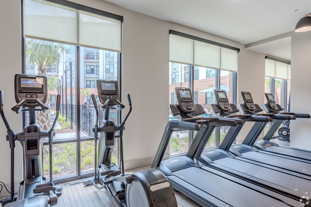 a gym with cardio equipment and large windows the Riverwalk, Wilmington, NC