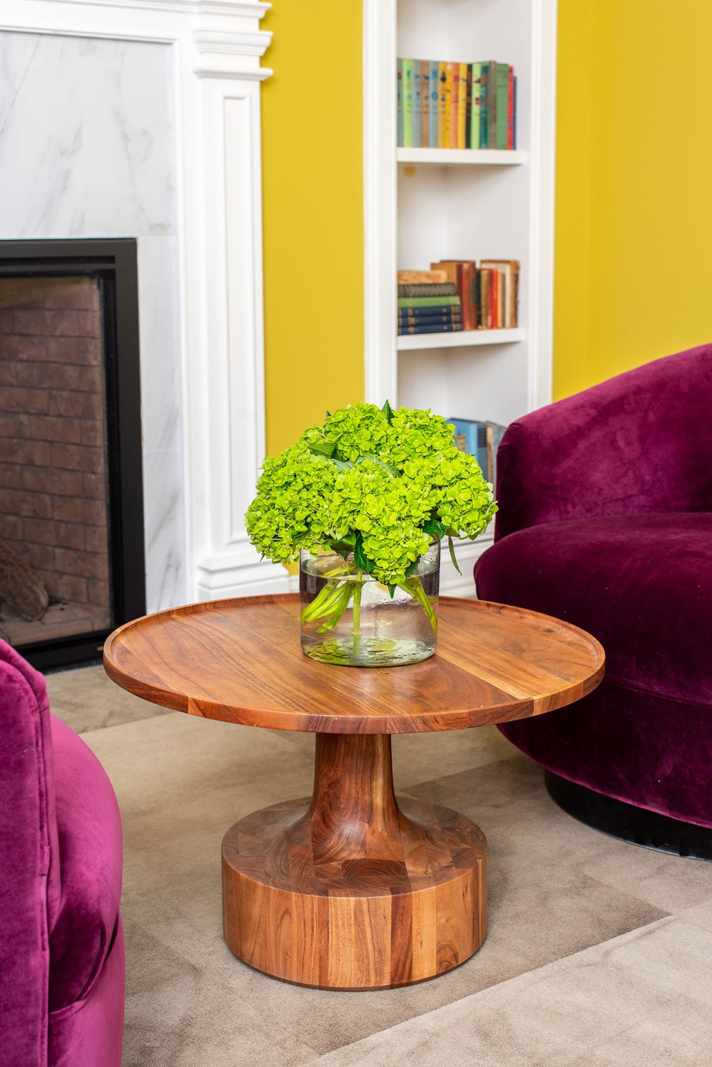 Plant On A Table at Park Kennedy, Washington, DC, 20003