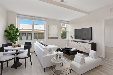 A living room with a white couch, a black chair, a white coffee table, a black TV stand, and a plant.