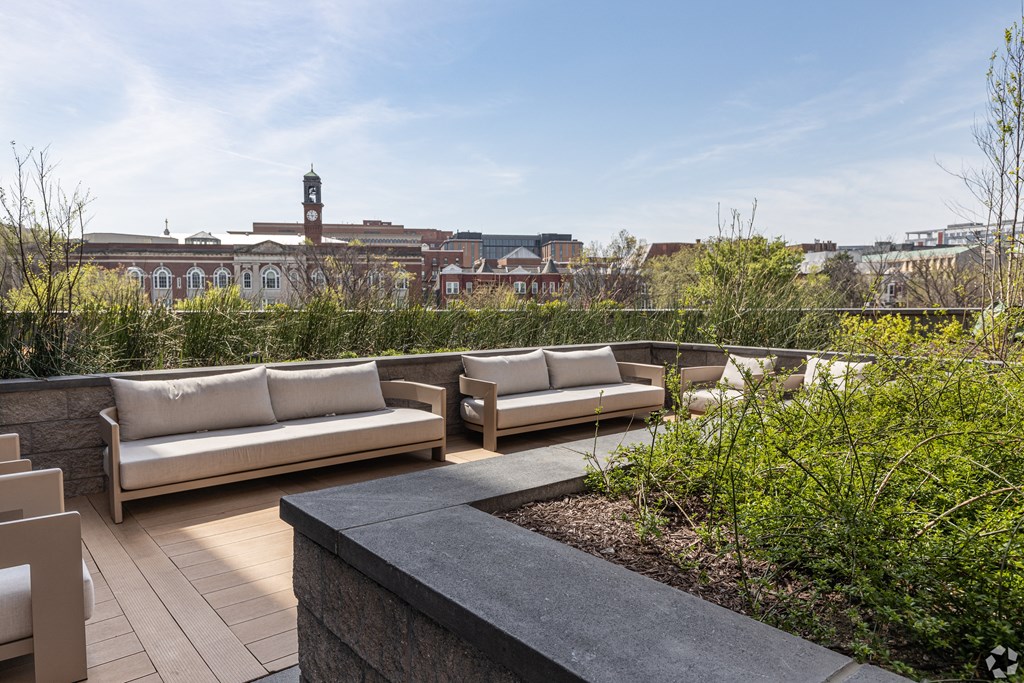 a rooftop terrace with couches and plants and a city in the background