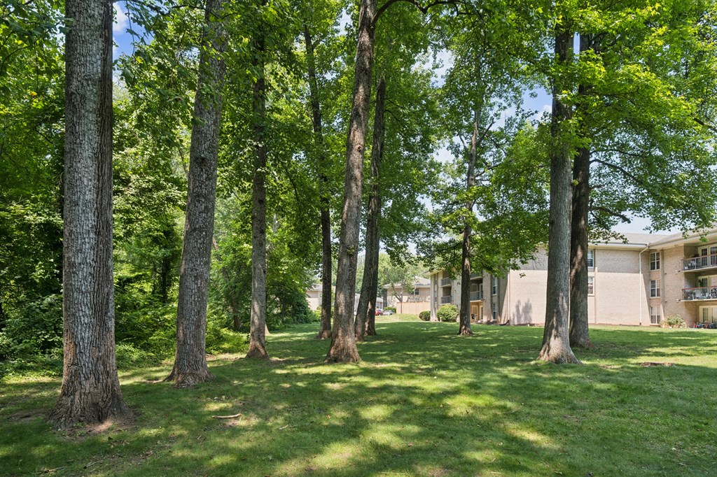 A row of trees in a grassy area with a building in the background at Shenandoah Station Apartments, Triangle, VA, 22172