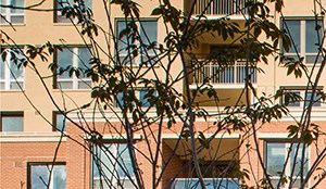 575 12th Road S Studio-2 Beds Apartment for Rent - Photo Gallery 5