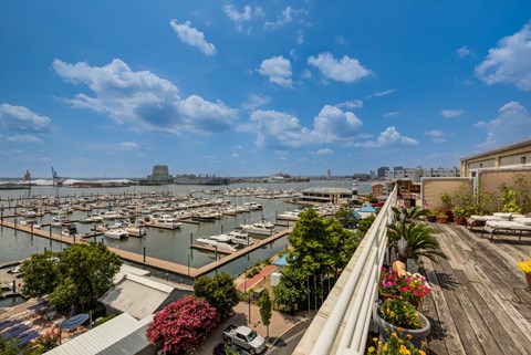 2809 Boston St Studio-3 Beds Apartment for Rent