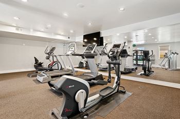 A gym with treadmills and elliptical machines.