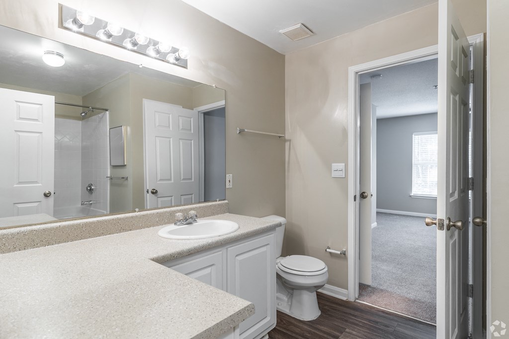 a bathroom with a sink and a toilet and a mirror at Alexander Ridge Apartments, Georgia