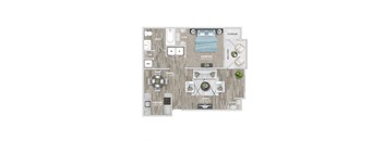 a floor plan  1 bedroom  503 square feet  at St. Andrews Reserve, Wilmington