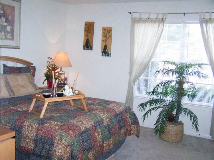 a bedroom with a bed and a potted plant