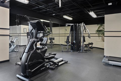 Fitness Center With Modern Equipment at Remington Place Apartments, Fort Washington, 20744