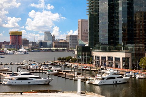 A cityscape with boats docked in a marina.