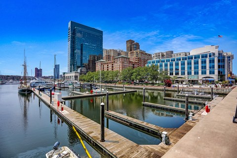 1305 Dock Street Studio-1 Apartment for Rent