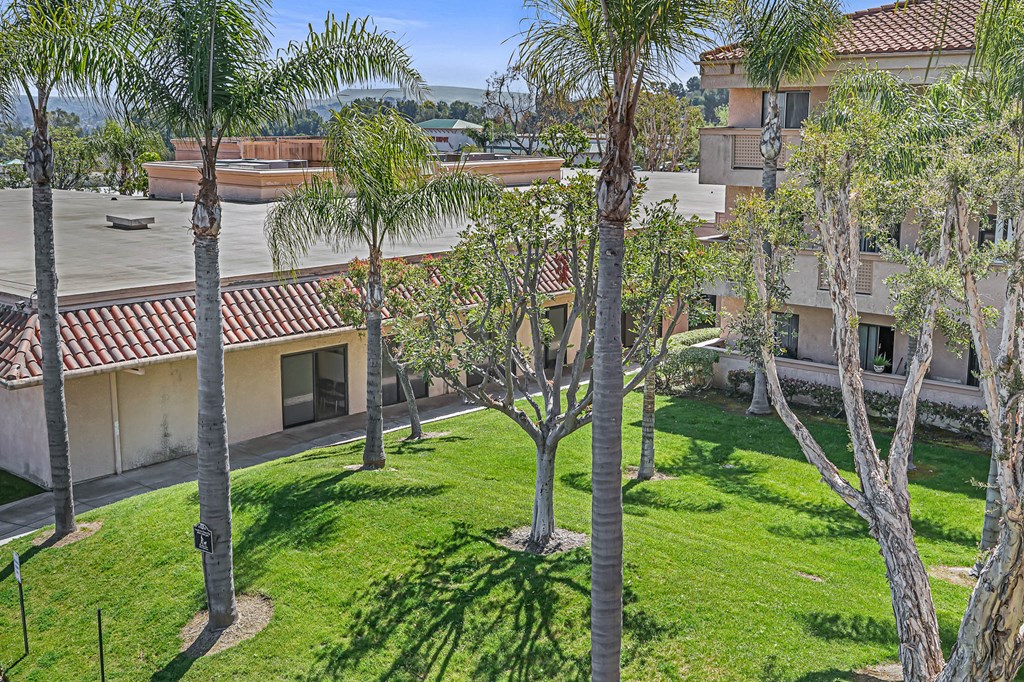 a yard with palm trees in front of a building