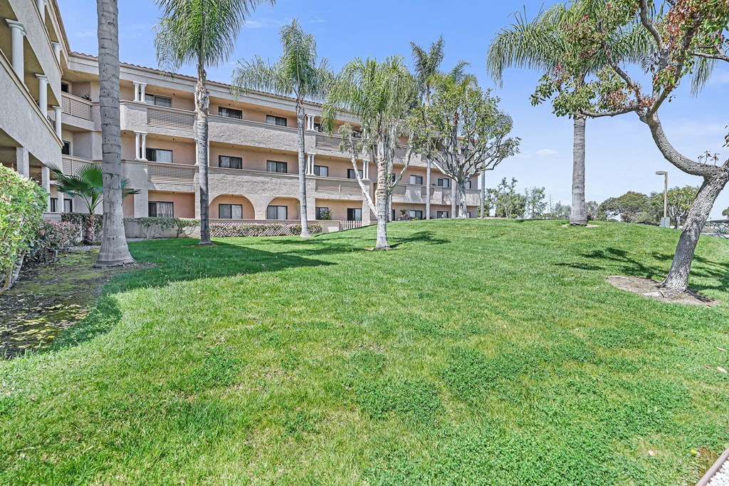 a grassy area with palm trees and a building in the background
