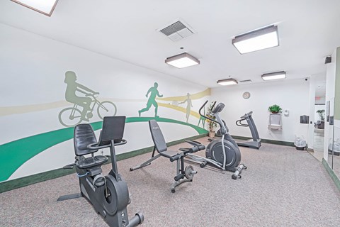 a gym with exercise equipment and a mural on the wall