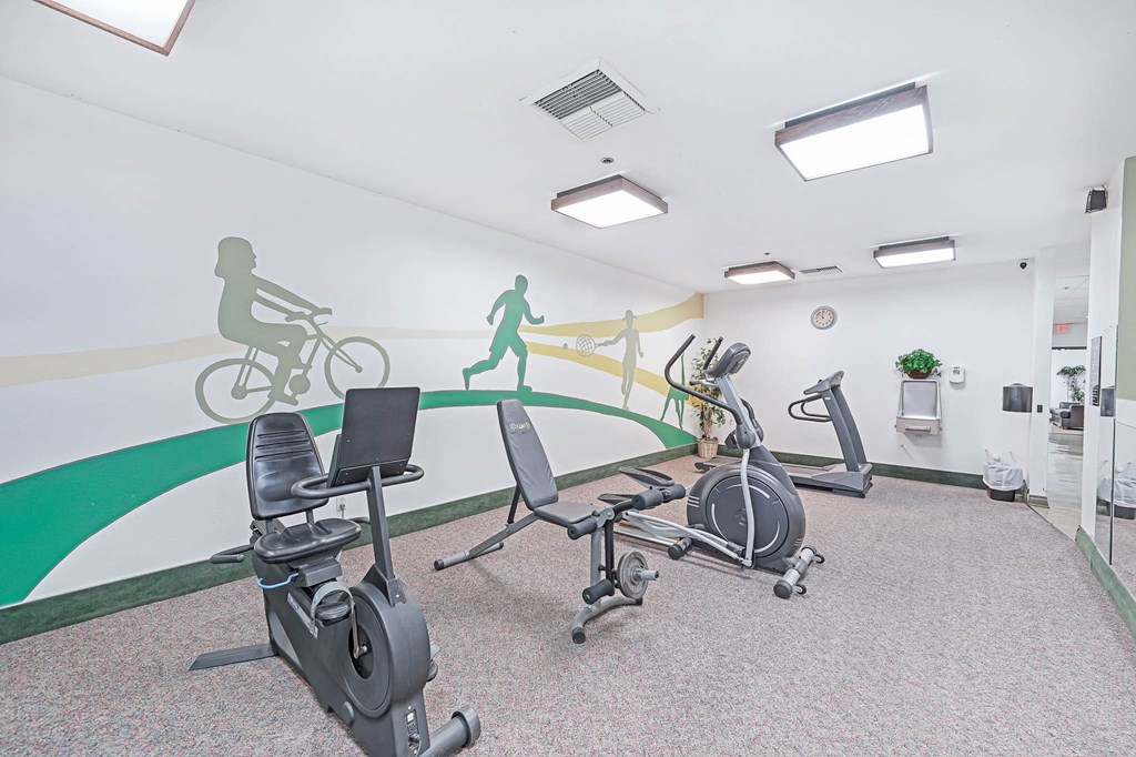 a gym with exercise equipment and a mural on the wall