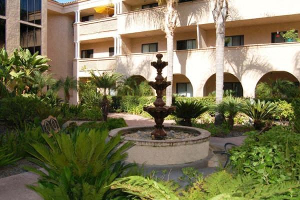 a fountain in the middle of a garden