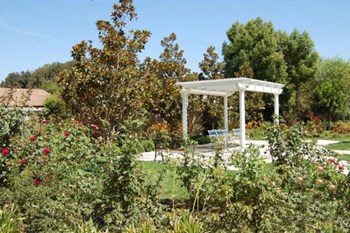 Garden - Photo Gallery 3