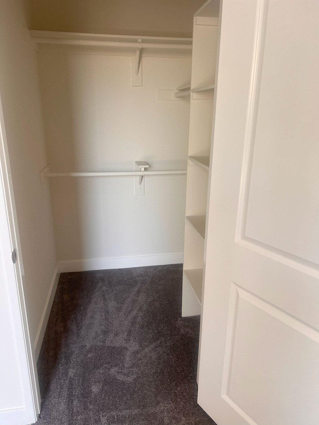 A white closet with a grey carpet.