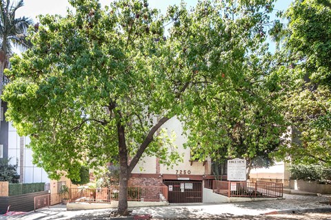 7250 Hillside Ave Studio-2 Beds Apartment for Rent