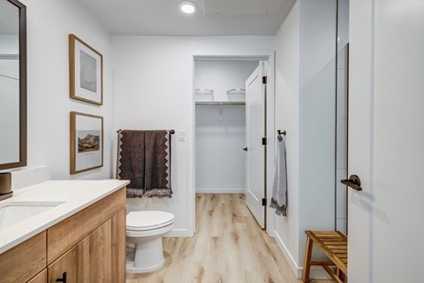 Bathroom with walk-in closet at Tempo Nine Mile Station in Aurora, Colorado