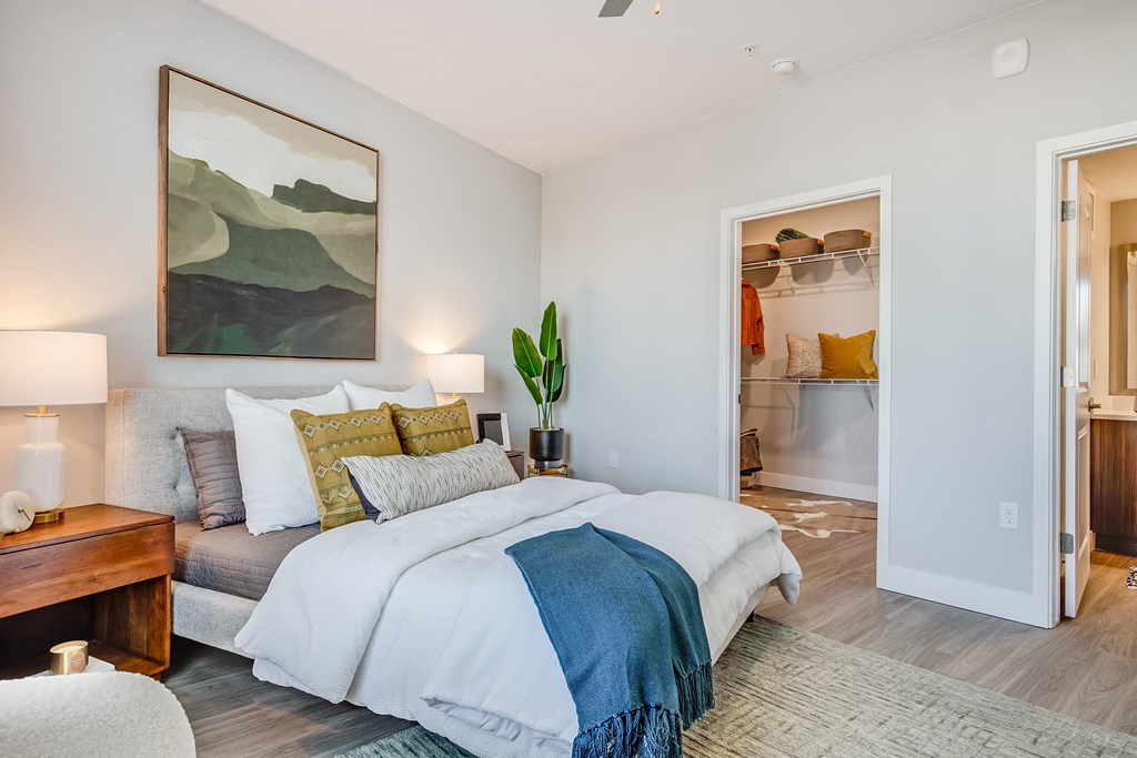 Bedroom with walk-in closet