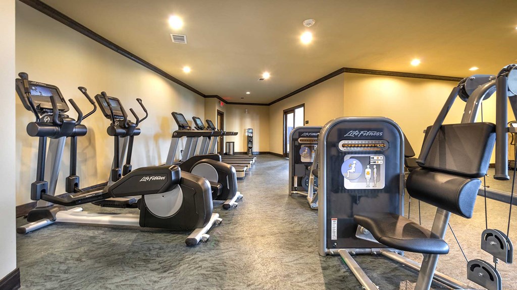 Elliptical machines line the wall on the left with additional fitness equipment on the right.