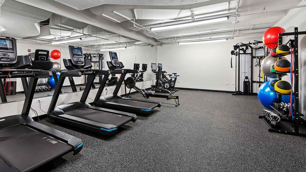 Several free weights and exercise balls are stacked on the left, more weights and a television are along the far wall, and various equipment, including treadmills are on the right in the Fitness Center at Wrigleyville Lofts.