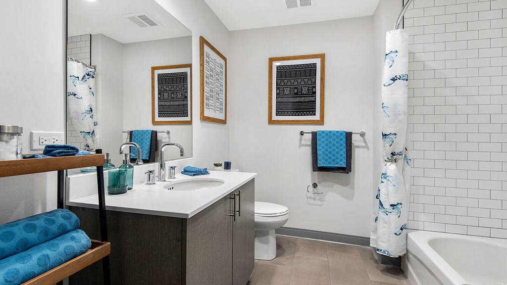 Looking into a bathroom in a Wrigleyville Lofts residence. The vanity and mirror fill the left across from the shower on the right.
