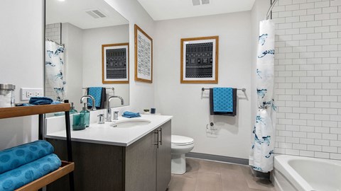 Looking into a bathroom in a Wrigleyville Lofts residence. The vanity and mirror fill the left across from the shower on the right.