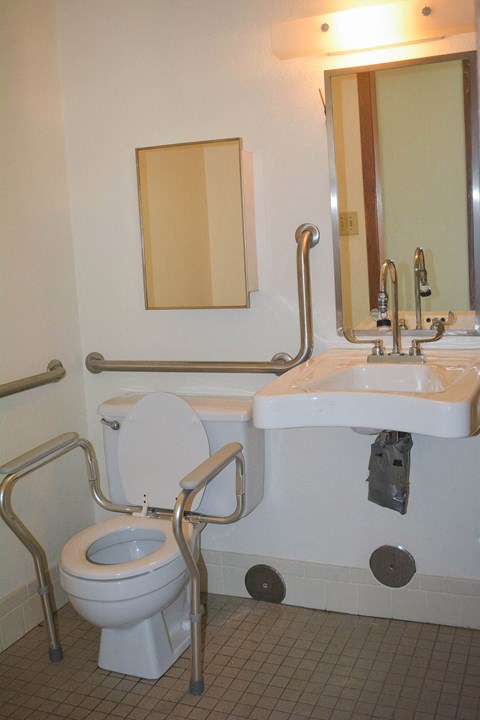 a bathroom with grab bars and a toilet and a sink