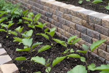 Community Garden at Pinewood Townhomes in Tucker, GA 30084