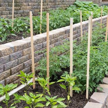 Community Garden at Pinewood Townhomes in Tucker, GA