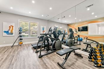 the gym is equipped with state of the art gym equipment including cardio machines and weights