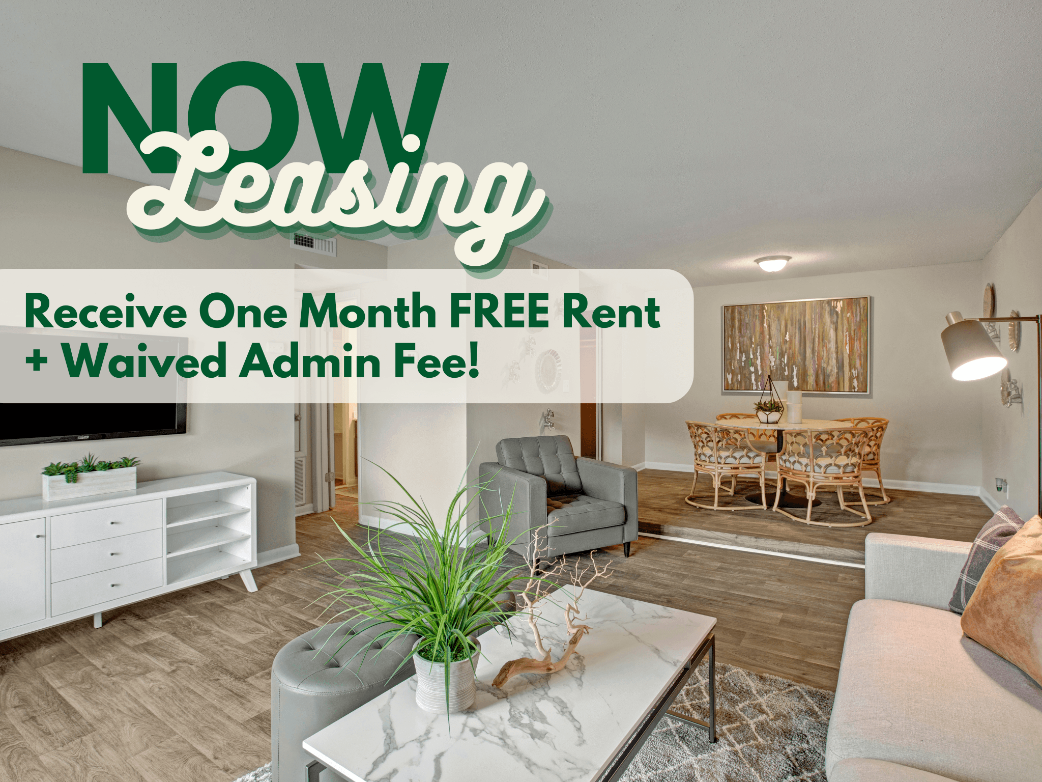 A living room with a white sofa and a coffee table with a plant on it.