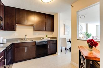 Fully Equipped Kitchens at Bolero Flats Apartments, Minneapolis, 55403