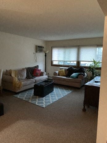 a living room with two couches and a table