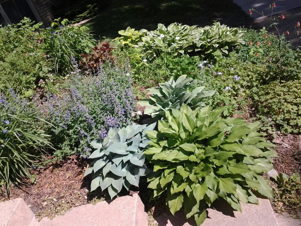 Aldrich Exterior  at Aldrich Avenue Apartments, Minnesota, 55405