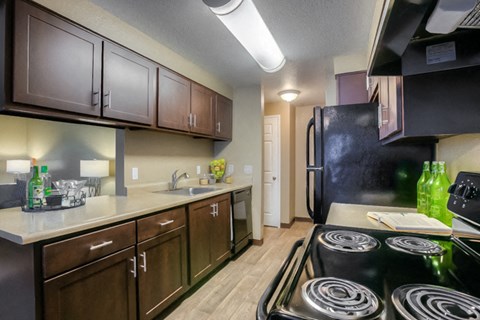 a kitchen with a stove and a sink and a refrigerator