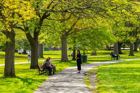 A park with people sitting on benches and walking paths.