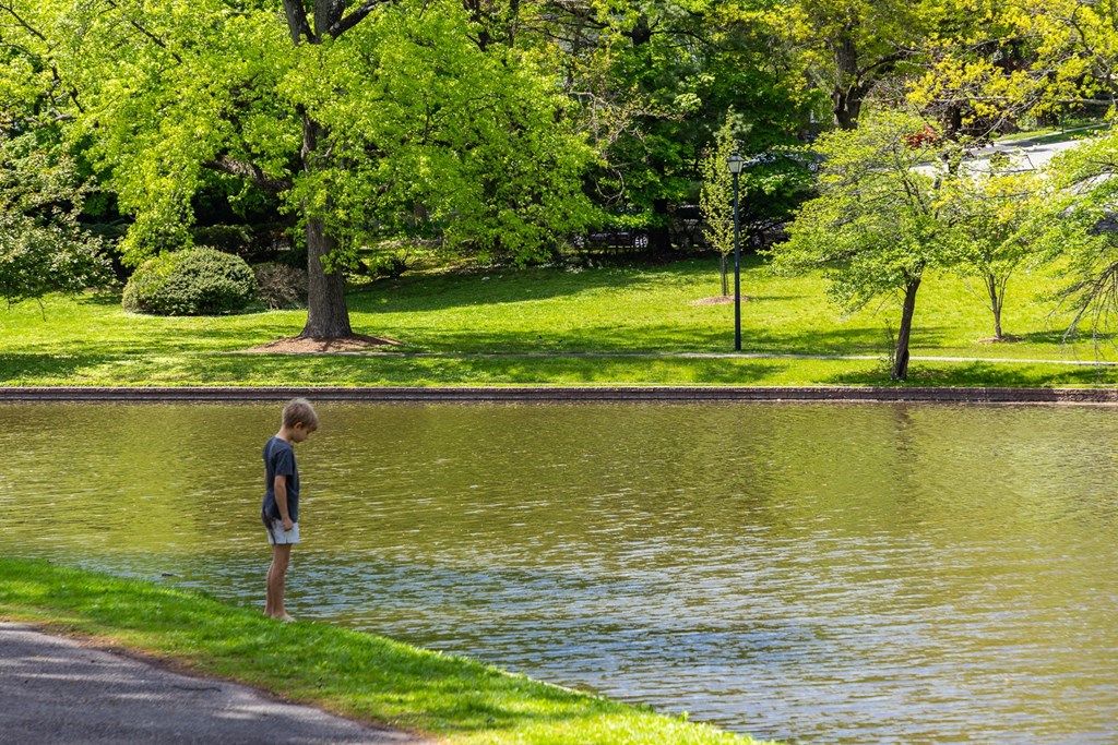outside, walking distance, greenery, park, neighborhood, town, orange