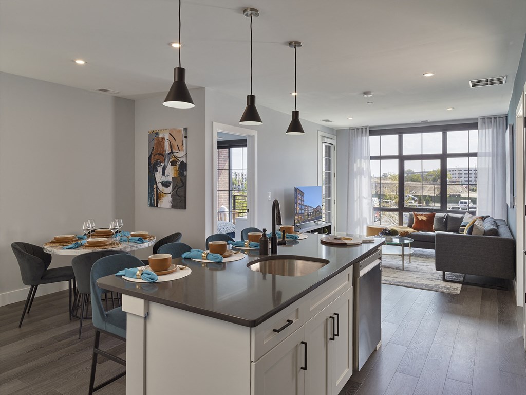 open kitchen living and dining area, chef-inspired kitchen