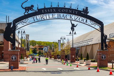 The Essex County Turtle Back Zoo is bustling with activity as people walk through the entrance gate.