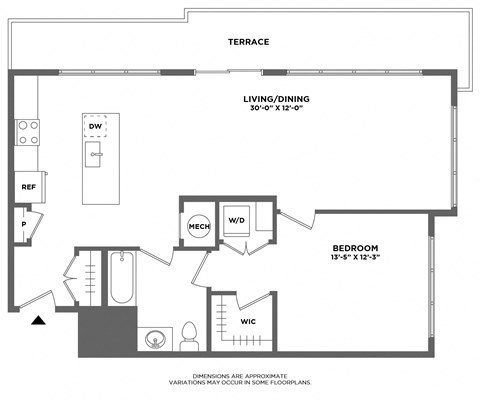 extra large one bedroom, walk in closet, dining area, living room, private terrace, luxury finishes, penthouse