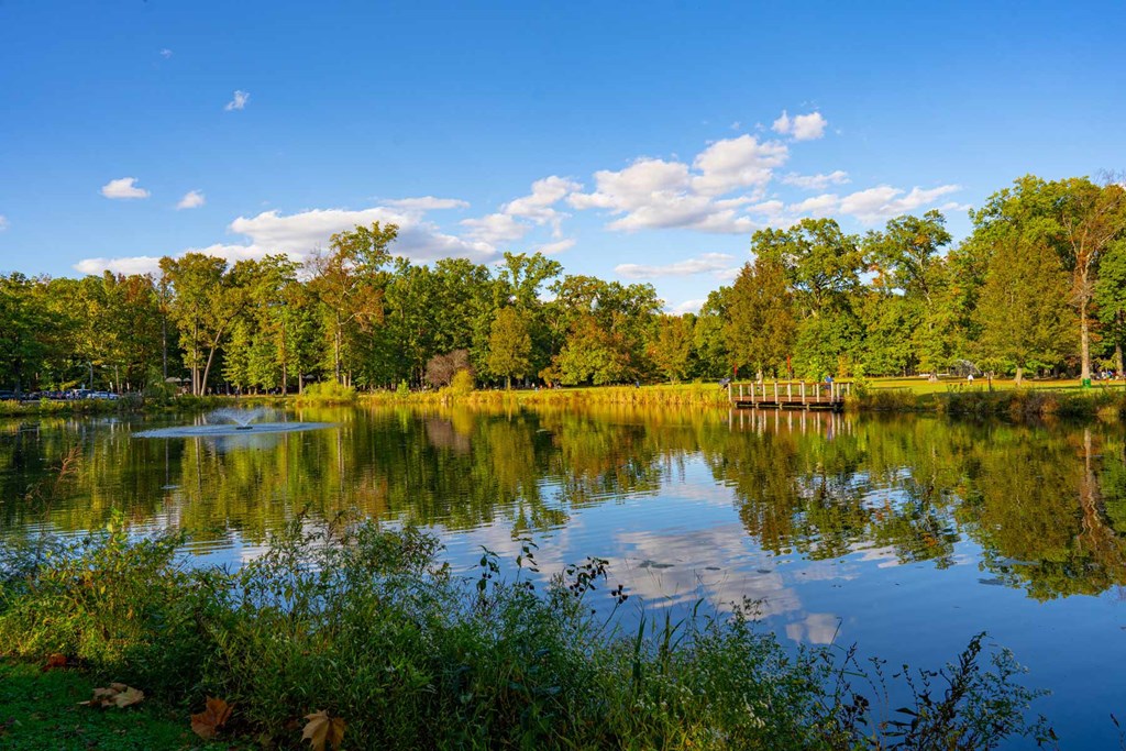 A serene lake surrounded by lush greenery and trees.