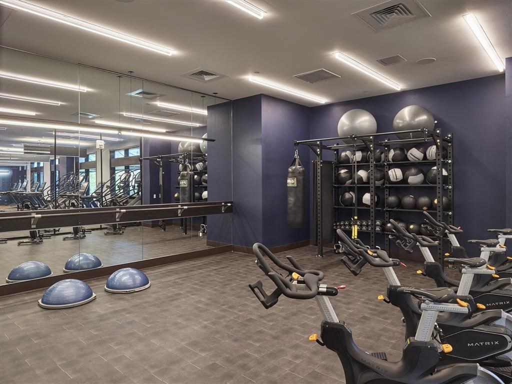 A gym with exercise equipment and a row of exercise balls on a shelf.