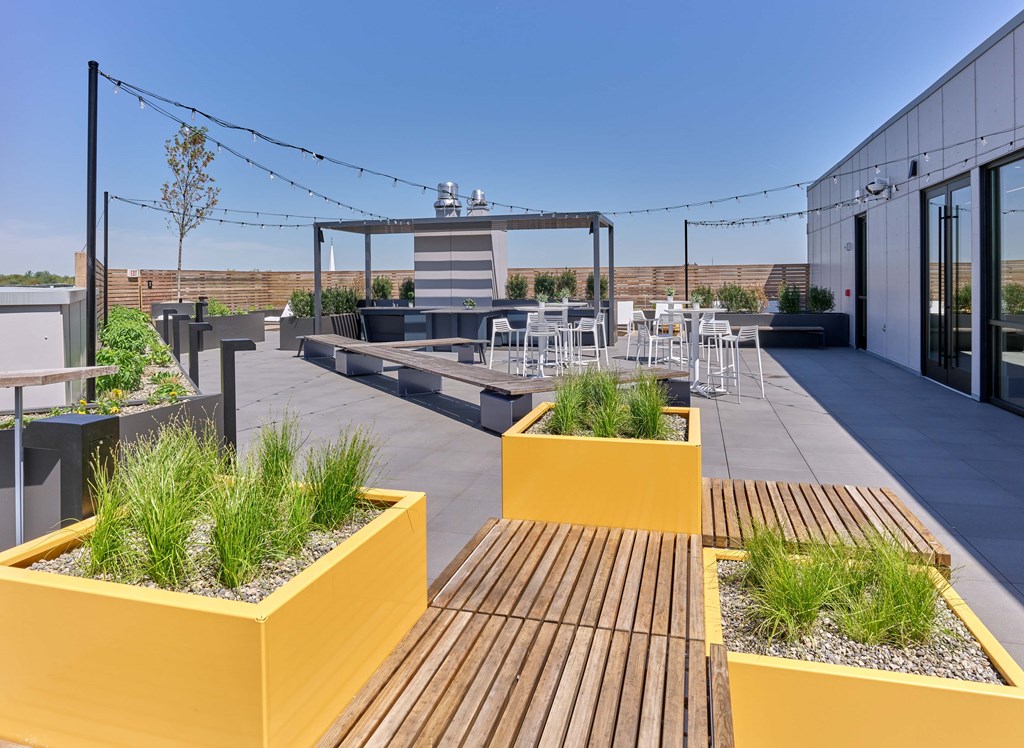 A rooftop patio with wooden benches and yellow planters.