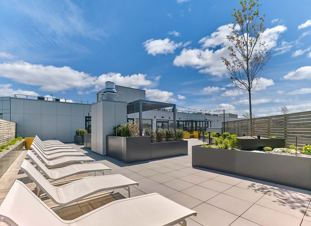 A rooftop patio with white lounge chairs and a tree.