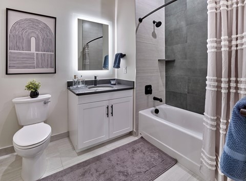 A bathroom with a white toilet, a sink with a mirror above it, a bathtub with a shower head, and a rug on the floor.